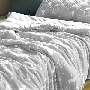 zcJo[ ⊴  yl킢lR×{^jJfUCz | Jo[ u~I meowrelaxv VO 140×190cm O[ 6Rt L  IWi ˂  Aj}