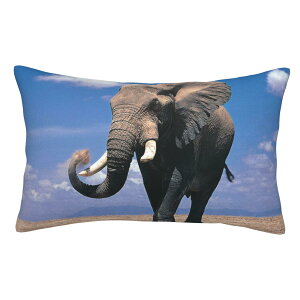 YUMEBLTD ̋ Jo[  ȍ 􂦂 h_j z R ɂ̔G hL 炩 q lGpij (, 35x50cm)