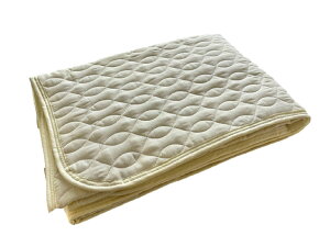 �ɓ���(Itosho) �ȓ�d�K�[�[�J���[�~�p�b�h �A�C�{���[ 100×205cm PT9700-10IV