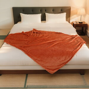 ѕz _utFCXWJ[h tl|zc Ch䕿 G_炩 ÓdCh~ @Ή I[V[YΉ Kۉ(150x200cm,pvLJ[)