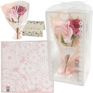 3world nJ` ͂Ȃ \[vt[ ~ju[P MtgZbg v[g P[X ̓ a LO v[g v`Mtg SW2440P[X sN