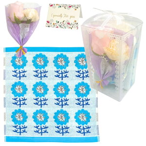 MtgZbg ^I ͂Ȃ \[vt[ ~ju[P v[g P[X ̓ a LO v[g v`Mtg MSW2482All