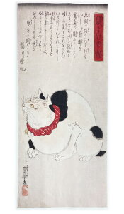 Í G ʂ l悯̔L ̐썑F