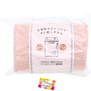 y@\̓}CNt@Co[ ̓Rbgz E邾ł^I2 oX^I z  60×120cm CgsN 1