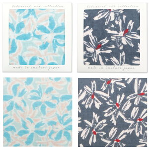 K[[^InJ`Mtg 2Zbg (CF) uh ^I ӂӂ  Y { Y fB[X  킢  Ƃv[g z ސE v`M