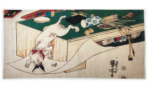 Í G ʂ? ̐썑F wB [s