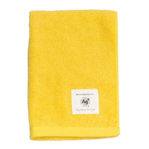 IJ(OKA) Ag+̗͂ōRۂ^I 34cm×77cm CG[ (R hL tFCX^I CI)