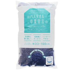 oX^IƐ錾 33×100cm 100 { (CfBS)