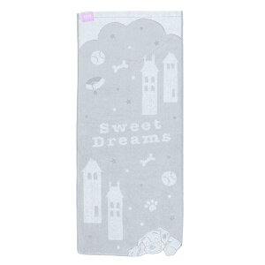  tFCX^I 101C񂿂 h[~[^E R hL 2006039100