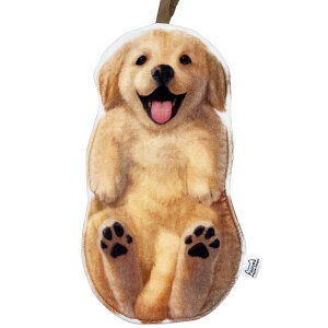  nh^I oX[ Lb` tFCX^I z \tg 킢 D o^C ̓ a MtgS[fEg[o[