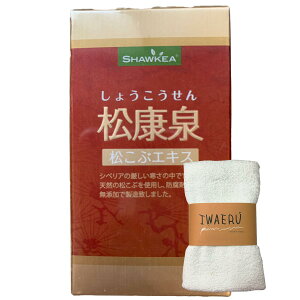 N  100 傤 IWAERU^IZbg