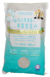 oX^IƐ錾 33×100cm 100 { (p[O[)