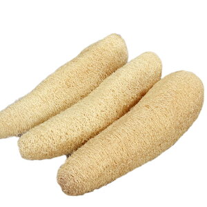 3 VRw`} @\ w`}X|W w`}킵 HuV M Ȃ ꂪȂ