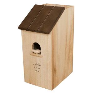 Ampoule t[OCp[X^h uE F  tACp[ VR  [ z_[ NCbNCp[ Cp[z_[ Cp[X^h k  AtHE amfo