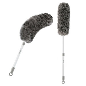 Eyliden قƂ _X^[ ͂ nfBbv ق蕥 zR bv ق y Lk\ | 􂢉 Ȃ {I  V K[W uCh GAR  