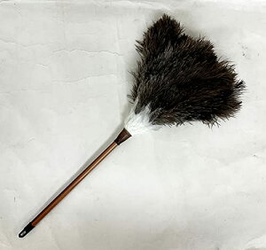 т͂ n^L I[Xgb` H S48cm d Ƌ̑| _`E