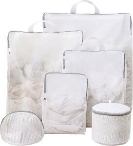 Xenophoria lbg 6Zbg h[lbg 3DEHbV obO ߗޑh~ ^h~ t obO ׂԖ [ e ƒp s