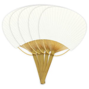 { |   n 5 c330mm×195mmi܂ށjۋT