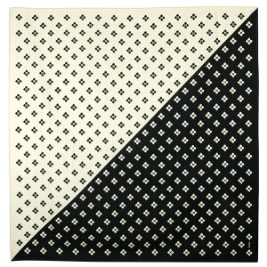 _l ziC~ 90cmj lt N