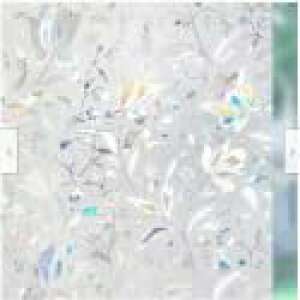 HARUMAKI 3D`[bvptB KXtB ډBV[g ܂KX Ódz ډB œ\   fM ėp\ C UVJbg vCoV[ی 