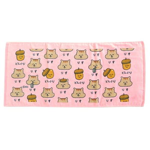 IN^jR[|[V V[Y tFCX^I 肷 Rbg100