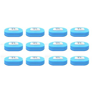 gC| gCuV gC Y~ ĝ X|W ܕt { (ւX|W12Zbg) [sAi]