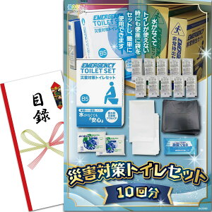 YN VN ii pl ( ЊQ΍gCZbg(10) ) ژ^ Zbg Piii [ 񎟉/rS/St Ry/ ] iiQb`