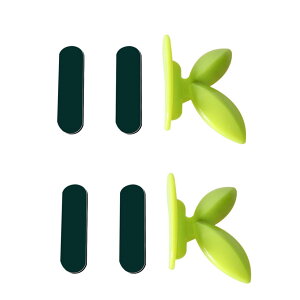 NASSIA ֍  グ֗ 2Zbg (^CvB)