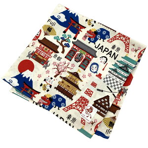 C { C~ ӂ낵 ٓ NX 50×50cm 100% ېOK a n[jb| 