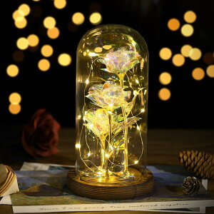  KXh[ Lewondr KN 3 ͂Ȃ o^C  v[g bL[Y  LEDCgt  CeA zo/̓/LO/a/w//j/