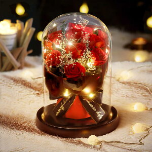 \[vt[ LangRay ͂Ȃ  ԑ o ? ?t[ 蕨 Mtg hV̓ ̓ JXj a LO    v[g Mtg{bNX (LED Ԃo)