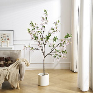 OSJ tFCNO[ ϗtA d G} lHϗtA ^ 144cm