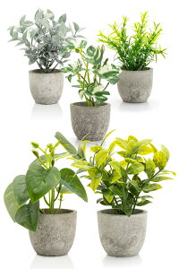 October1st tFCNO[ ϗtA lH 5_Zbg p G}H  CeA  ~j indoor plants lHA fake plant   sv 蕨 Mtg ̓ ̓ v[