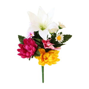 ȁ[ނ܂H[ (M) dp (1) MTCY 