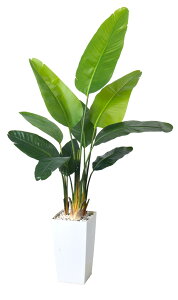 HAIHONG o[hIup_CXlHA 6tB[gAlHgsJV̖؁Aw̍v^[tAȂ傫ȃtFCNvg - z[ItBXrO[̑plH