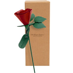 [Dom Teporna] U[t[ v̉ o ։ t[ {v v v a LO v Ajo[T[ bh