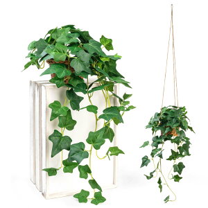 WillingYou tFCNO[ ݂艺  p ACr[  CeAO[ 70cm ȐlH ϗtAtFCN Ǌ| nMO