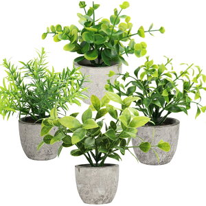 SAGVEiTQrj tFCNO[ lH ϗtA 4_Zbg CeAO[   CeA G}H L R  sv  A 蕨 Mtg (O[, 8*8*18