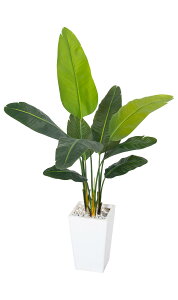 HAIHONG o[hIup_CX lHA 5tB[g lHgsJV̖ w̍v^[t 傫ȐlHA A̐lH z[ItBX rO[̑ p