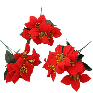 DIFEIUKI NX}Xt[  |CZ`A lH 3{Zbg NX}Xc[   VN  NX}X   X NX}X NX}XI[ig