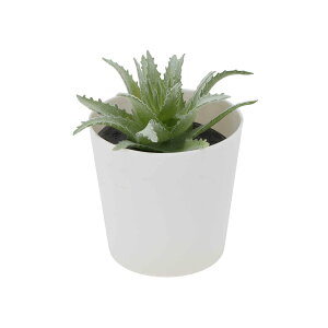 CAPASTEC tFCNO[ CeAO[ A lH bsv  ~j A fR[V   fXN oX[ Lb` Type 8