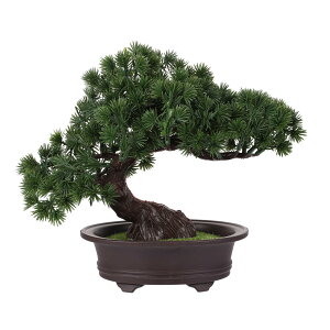 TENDYCOCO ̔A nEXEFJ|bgvg tFCNO[ AhmX p T f fXNg gbp[ H ̖ lH~  ItBX i 