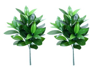 nw Ԃ 1(2{) SSS(S28.5cm) ^h~p Q  AȎ C}Ő`   VLr