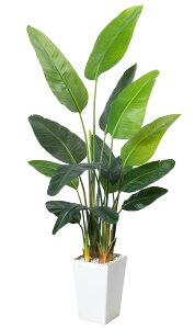 HAIHONG o[hIup_CX lHA 6.8tB[g lHgsJV̖ zCgg[v^[t Ȃ傫ȃtFCNvg - z[ItBXrO[̑plH