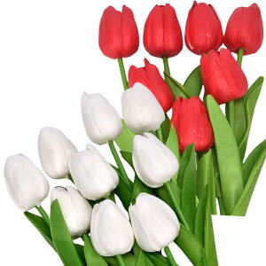 morytrade `[bv  20{Zbg {ŉ؂₩ CeA Mtg ԑ (ԂƔ)