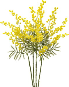 Villa Como  ~U AJVA 4{ 58CM A[eBtBV t[ }} t H F  uC_ CeA tFCNO[   rO  ItBX ̓ (4, 58CM)