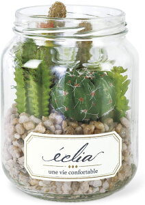 Ղ莿ɖ A񂹐A lHϗtA a9.5×15.5cm {g^CvB CYɂ CTG} L A[eBtBVO[ R ɂ lybgɂ