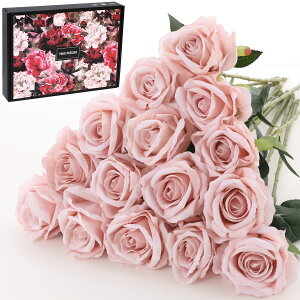  15{ lH o tl KN tFCN[Y   t[ ԑ a ̓ w  Mtg z[ ItBX K[f p[eB[    (sN - 1