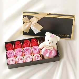 |s[É \[vt[ V{t[  Mtg v[g 12փu[P{bNX o {bNX 23.5cm ʂݓ S-012