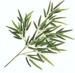 |  [ ̗t | [p ~ Ă͋̕C Ƃ̑ ԉΑ [̂Ղ jœK 65cm